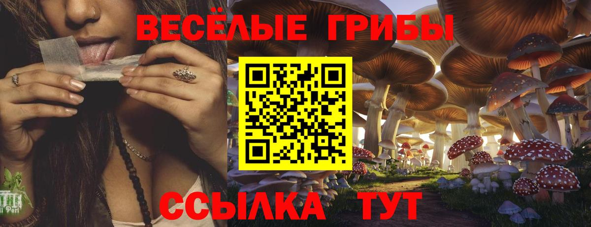 Псилоцибиновые грибы мухоморы Чусовой